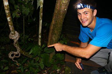 Night walk and search for tarantula sloths