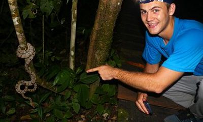 Night walk and search for tarantula sloths