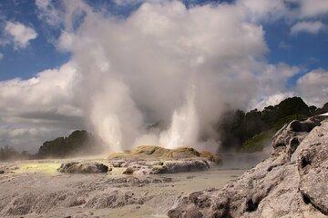 Rotorua Full Day Adventure in Glowworm Cave and Redwoods