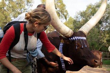 2 Day Rwanda Cultural Tour Where Waste Becomes Hope