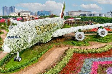 Miracle Garden and Global Village Ticket with Transfers