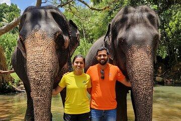 4 Days Sri Lanka Tour in Bentota Kandy and Colombo