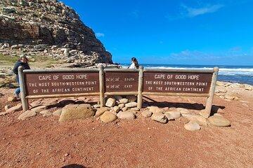 Cape Peninsula Tour