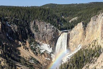 Yellowstone in a Day Private Guided Tour