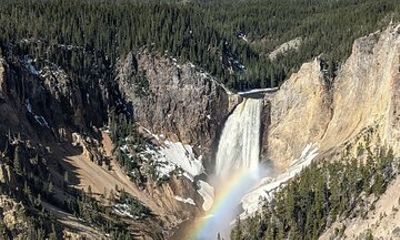 Yellowstone in a Day Private Guided Tour