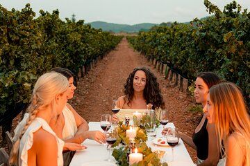 Ibiza: Private Wine & Olive Oil Tasting and Tapas & Transport