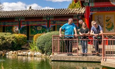 Bendigo Chinese Heritage Tour with Morning Tea Fridays