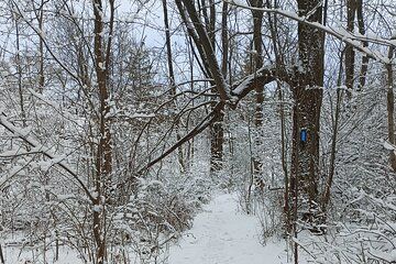 Complete Guided Tour of Niagara Attractions and Trails