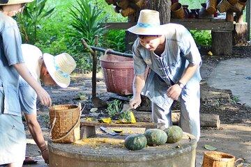 Half day Ethnic Elephant Sanctuary and Bee Farm