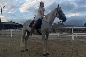 Alicante: Private Horseback Ride with Picnic and Transfer