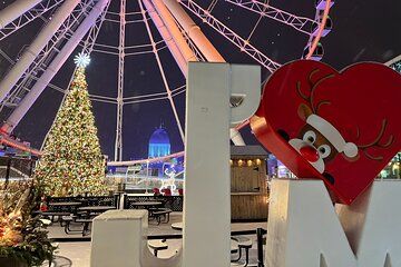 Montreal Christmas Lights 2-Hour Private Car Tour with an Expert