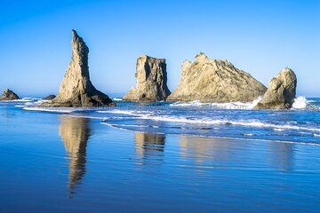 All Inclusive Private Coastal Road Trip from Washington to Oregon