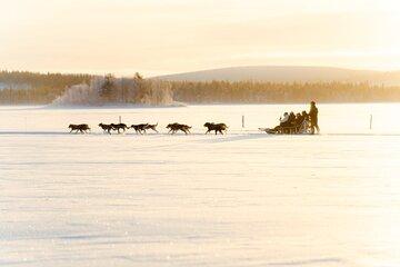 Rovaniemi Insider Husky Sleigh Ride Adventure on the Frozen Lake