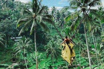 Bali Swing, Monkey Forest and Waterfall Tour