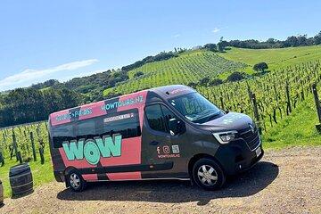 Boutique Waiheke Island Wine, Gin and Food Tour