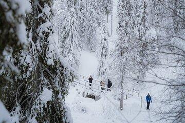 Full Day Rovaniemi Frozen Waterfalls Korouoma