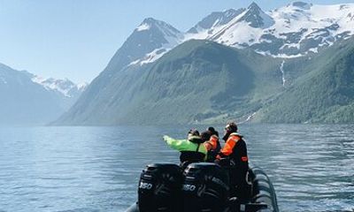 Fjordsafari with RIB to Hjørundfjord