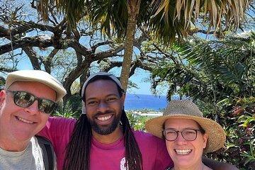 St. Kitts No Hustle No Hassle Private Tour with Don