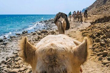 Blue Hole Ras Abu Galum Blue Lagoon Snorkeling Trip From Dahab