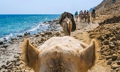 Blue Hole Ras Abu Galum Blue Lagoon Snorkeling Trip From Dahab