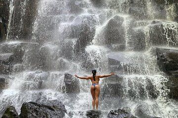 Private Full Day Ubud Tour