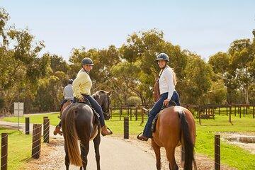 Romantic Vineyard Horse Riding and Picnic