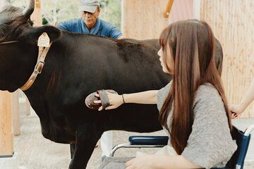 Farm Park Food Education Experience with Tajima Beef