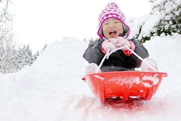 Outskirts of the city Mt Rokko Snow Trip