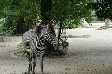 Prague Zoo Skip-the-Line Ticket With Audio Guide and Transfer