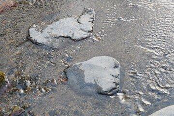 Kyoto Spiritual Conversations and Mindful Encounters