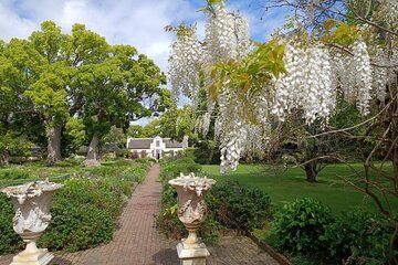 A Canvas of Somerset West Art Wine and Gardens Day Tour