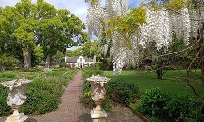 A Canvas of Somerset West Art Wine and Gardens Day Tour