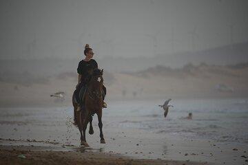 2 Hour Horseback Adventure in Essaouira
