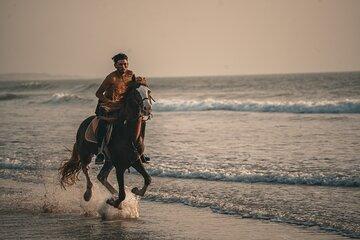 Horse Ride by the Sea in Essaouira