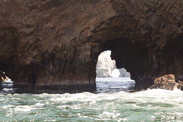 2 Day Tour from Lima Paracas Ica Buggies and Oasis