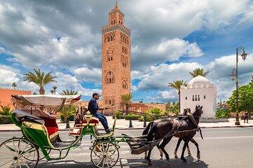 Agadir to Marrakech Day Tour