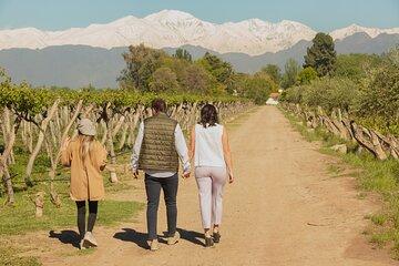 Organic & Biodynamic Wine Immersion in Luján de Cuyo
