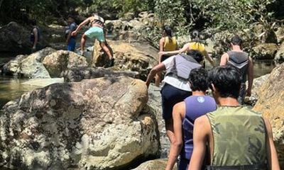 Private El Yunque Rainforest Tour And Brunch At The Beach