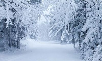 Acadia National Park Winter Wonderland Private Driving Tour