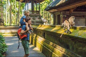 Best of Ubud private Day Tour