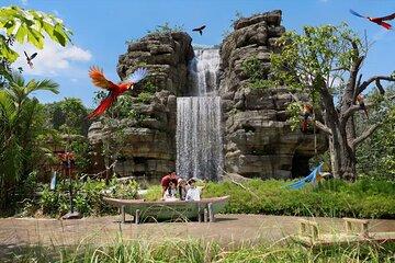 Bird Paradise Singapore Tickets