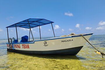 Coastal Explorer and Tropical Boat Ride