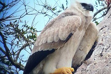 An expectacular morning in Sovereignty National Park