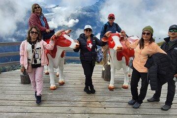 Zurich Day Trip Jungfrau Region with Scenic Train and Hidden Gems