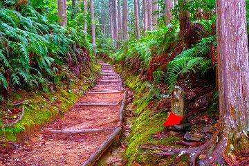 Kumano Hongu Shrine Private Walking Tour