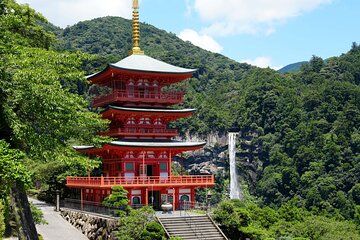 Kumano Kodo and Kumano Sanzan One Day Tour from Osaka