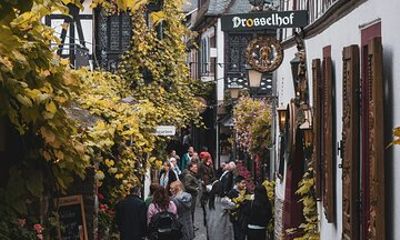Frankfurt Rüdesheim Half-Day Private Tour with Cable Car Ride