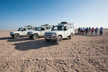 Safari Adventure by Jeep, Camel Ride, Dinner and Show :Marsa Alam
