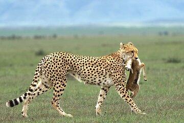 Witness Africa in a 4 Days of Adventure