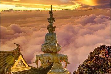 Mount Emei Scenic Area Private Tour